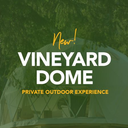 New! Vineyard Dome Seated Tasting Experience